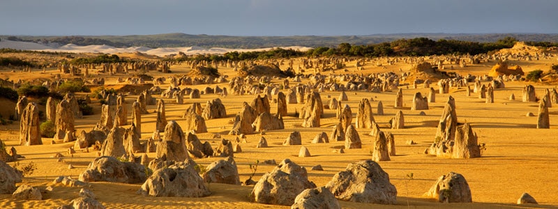 Nambung National Park Pinnacles near Jurien Bay Tourist Park